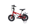 05-Bike-Ok-OV-2000-12-Inches