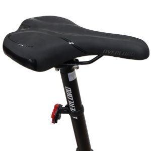 05-Bike-Overlord-Leo-ATX3