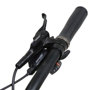 07-Bike-Overlord-Warrior-ATX3
