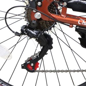 08-Bike-Faris-Chariot-Queen-26-Inches-