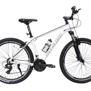 09-Bike-Overlord-Panamera-SE2
