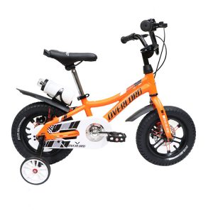 25-Bike-Overlord-OV-5000-12-Inches-1000x750
