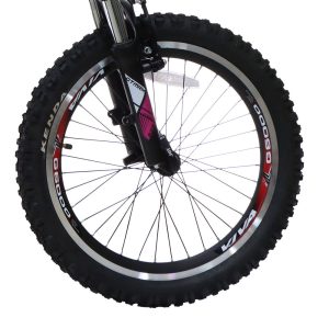 دوچرخه ویوا سایز 20 مدل VIVA DRAGON PLUS ویبرک 21 دنده
