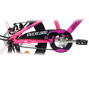 دوچرخه اورلرد سایز 20 مدل OVERLORD OV-2000