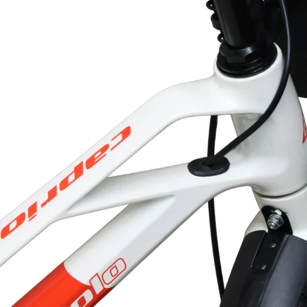دوچرخه سایز 16 کاپریولو مدل هافی CAPRIOLO HUFFY