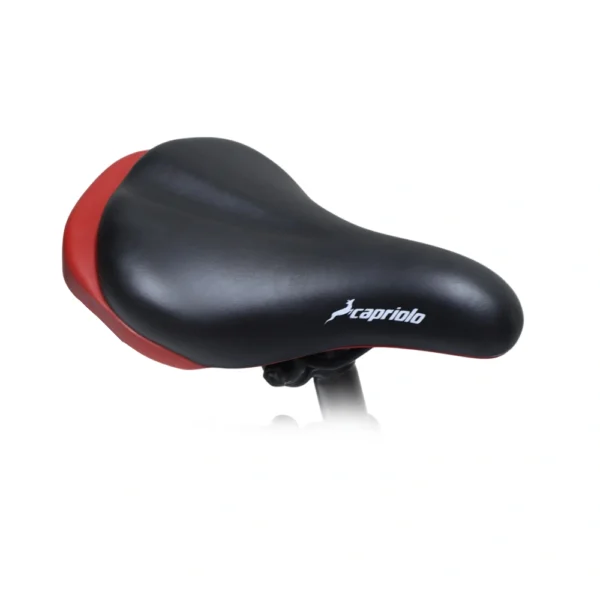 دوچرخه سایز 16 کاپریولو مدل روما CAPRIOLO ROMA