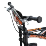 دوچرخه برلیانس سایز 20 مدل Brilliance VIP