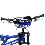 دوچرخه برلیانس سایز 20 مدل تانک Brilliance Tank