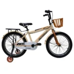 دوچرخه سایز 20 گود بیبی مدل Good Baby SA-20007