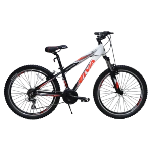 دوچرخه ویوا سایز 26 مدل سناتور VIVA SENATOR 14