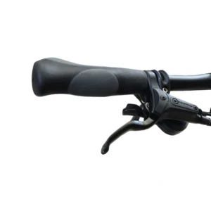 دوچرخه تاشو پرو مارین سایز 20 مدل Pro Marin Victor Z9