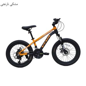دوچرخه ویوا سایز 20 مدل فایتر Viva Fighter