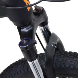 دوچرخه ویوا سایز 20 مدل فایتر Viva Fighter 