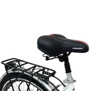 دوچرخه کنندل رویال مدل CANNONDELL ROYAL F1