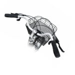 دوچرخه کنندل رویال مدل CANNONDELL ROYAL F1