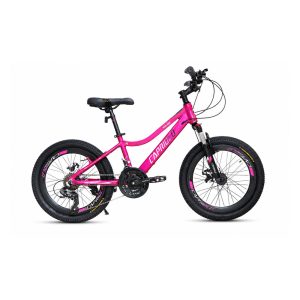 دوچرخه سایز 20 کاپریولو مدل فاکس Capriolo Fox دیسکی 24 دنده