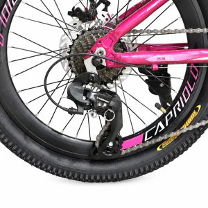 دوچرخه سایز 20 کاپریولو مدل فاکس Capriolo Fox دیسکی 24 دنده