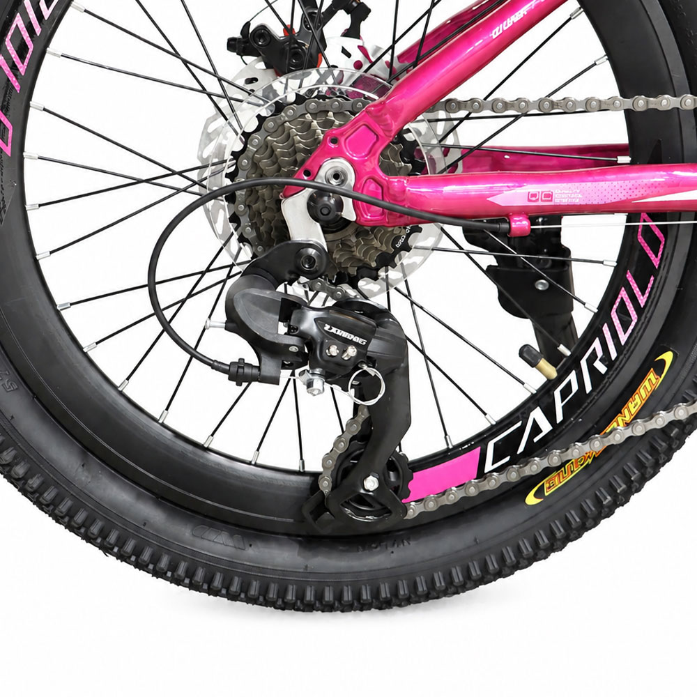 دوچرخه سایز 20 کاپریولو مدل فاکس Capriolo Fox دیسکی 24 دنده