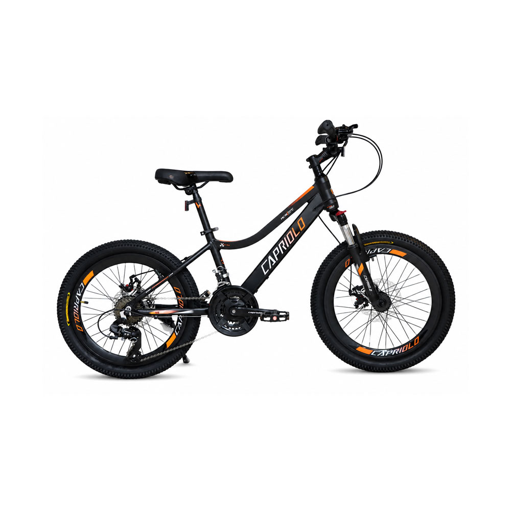 دوچرخه سایز 20 کاپریولو مدل فاکس Capriolo Fox دیسکی 24 دنده