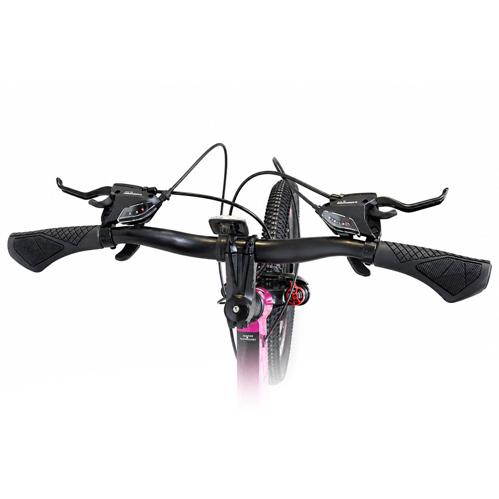 دوچرخه سایز 20 کاپریولو مدل فاکس Capriolo Fox دیسکی 24 دنده